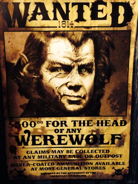 Wanted - Werewolf at large! Halloween decor Werewolf Decorations, Werewolf Themed Party, Halloween Party Night, Halloween Outside, Halloween Potions, Halloween Flyer, Monster Theme, Scary Halloween Decorations, Halloween Party Themes