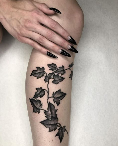 English Ivy Tattoo Arm, Moon With Ivy Tattoo, Ivy Tattoo Black And White, Ivy Tattoo Leg, Devils Ivy Tattoo, Ivy Tattoos, Ivy Draw, Ivy Tattoo, Lotr Tattoo