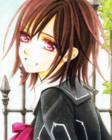 Yuki Cross, Yuki And Kaname, Yuki And Zero, Vampire Knight Zero, Vampire Knight Kaname, Vampire Knight Yuki, Yuki Kuran, Vampire Knight Manga, Matsuri Hino