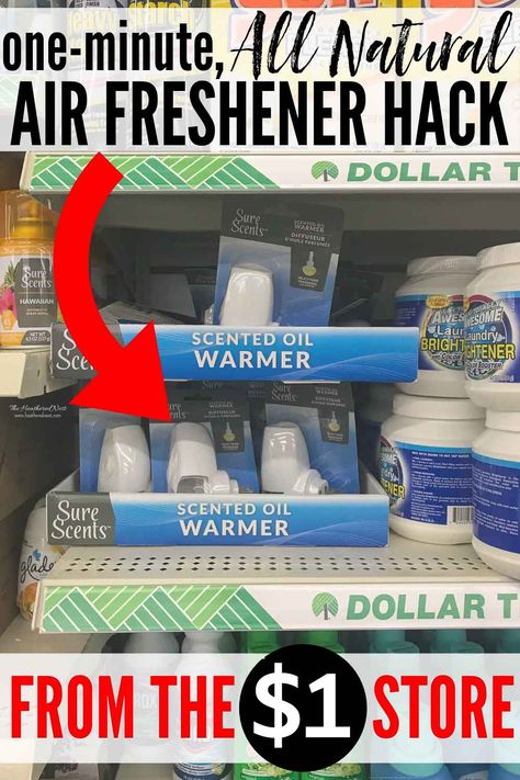 Need An ALL NATURAL Air Freshener Solution? Here's a Dollar Tree DIY Deodorizer Hack You Can Make In Under 1-Minute. This Is The Easiest, Best Plugin Air Freshener Solution! #deodorizer #airfreshener #allnaturalairfreshener #naturalairfreshener #roomfreshener #automaticairfreshener #howtomakeyourhousesmellgood #makeyourhousesmelllikeaspa #roomairfreshener #roomdeodorizer #airfreshenerhack #essentialoil #essentialoils #airfreshenerDIY #airfreshenerhomemade #airfreshenerdiyplugs #dollartree Diy Deodorizer, Diy Outdoor Movie Screen, Room Deodorizer, Homemade Air Freshener, Body Craft, Diy Air Freshener, Dollar Tree Hacks, House Smell Good, Home Air Fresheners