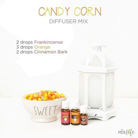 Christmas Diffuser Blends, Fall Essential Oils, Fall Diffuser Blends, Doterra Diffuser Blends, Essential Oils Diffuser, Essential Oil Skin Care, Essential Oil Diffuser Blends Recipes, Young Living Essential Oils Recipes, Essential Oil Diffuser Recipes