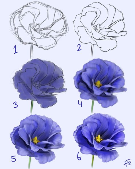 Ako Kresliť, How To Draw Flowers, Flower Step By Step, Draw Flowers, Flower Drawing Tutorials, Flower Art Drawing, Flower Sketches, Watercolor Flower Art, Arte Sketchbook