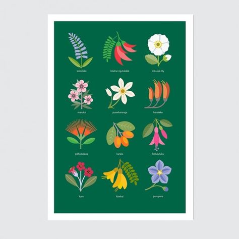 Birds of New Zealand by Hamish Thompson Nz Native Flowers, New Zealand Flowers, Nz Flowers, Flowers In Bloom, Native Flowers, Jewellery Unique, Flat Shapes, 1 Image, Clever Design