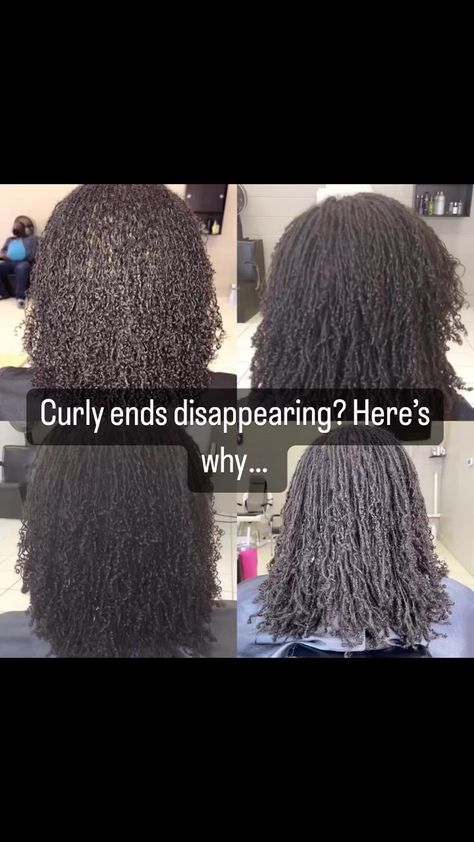 Tanielle (@locssofine) • Instagram photos and videos Curly End Sister Locs, Gray Microlocs, Micro Locs Curly Ends, Microlocs Curly Ends, Microlocs With Curly Ends, Micro Locs With Curly Ends, Microlocs With Shaved Sides, Natural Locs With Curly Ends, Microloc Styles