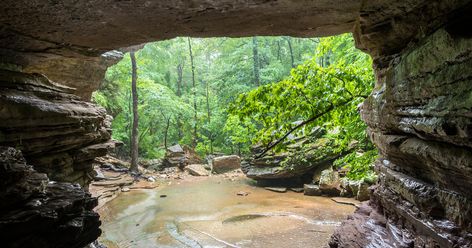 This Lost Arkansas Trail Belongs On Your Bucket List Ponca Arkansas, Arkansas Road Trip, Arkansas Vacations, Ozark National Forest, Arkansas Travel, Getaway Cabins, Nature Trail, Hot Springs, Awe Inspiring