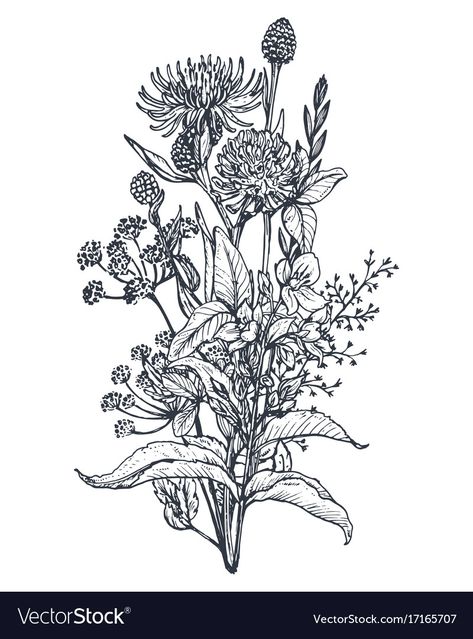 Wildflower Tattoo, Bouquet Tattoo, Floral Tattoo Sleeve, Botanical Tattoo, Illustration Botanique, Flower Sketches, Nature Tattoos, White Hand, Piercing Tattoo