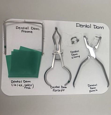 Dental Student Tray Practice Setup Dental Assistant Instruments, Dentist Assistant Study Guides, Sterilization Technician Dental, Root Canal Tray Set Up, Tray Set Up Dental, Dental Instruments Names, Dental Tray Setup, Dental Assistant Study Notes, Dental Tools Names