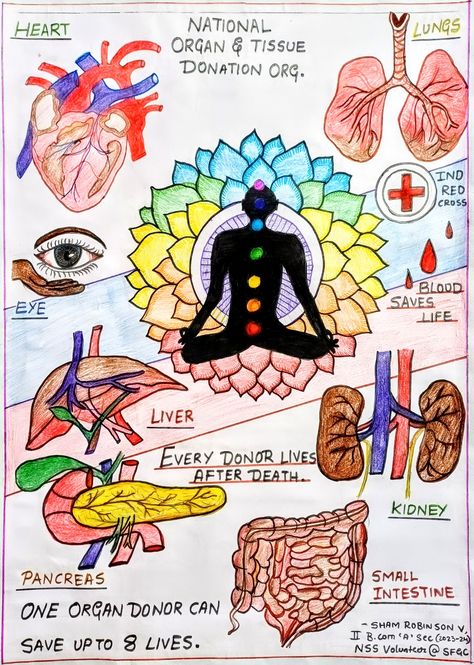 Organ Donation Poster, Donation Poster, Science Drawing, Science Cartoons, Art Competition Ideas, Poster Rangoli, Butterfly Art Drawing, Oil Pastel Drawings Easy, Anime Korea