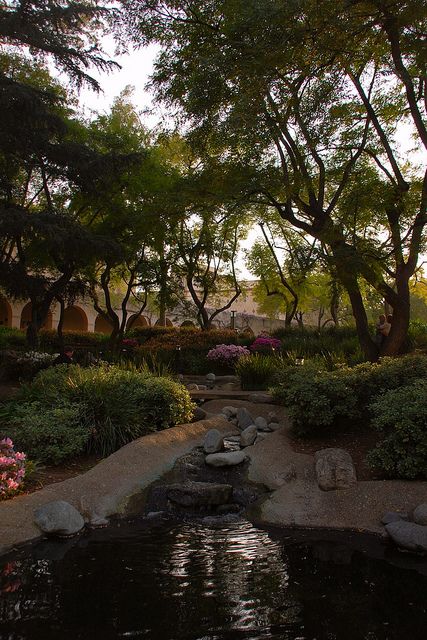 CalTech Turtle Pond Caltech Aesthetic, Caltech University Aesthetic, Caltech University, Uni Motivation, Pinterest Vision Board, Pinterest Widget, Career Motivation, Turtle Pond, Cali Girl