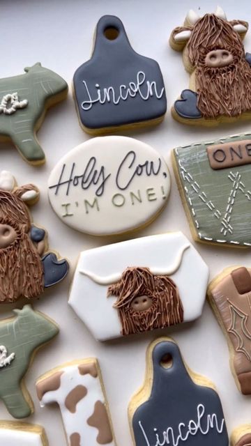 Cow Cookies Decorated, Western Baby Shower Cookies, Highland Cow Cookies, Cow Sugar Cookies, Highland Cow Party, Fair Cookies, Cowboy First Birthday, 1st Birthday Theme, Baby Boy Cookies