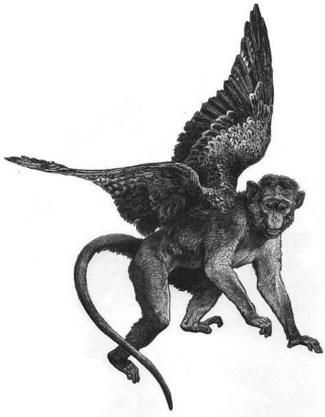 Dealing With The Very Real Dangers Of Flying Monkeys | by Julie Von Nonveiller Cairnes | The Educated Empath | Medium Cluster B, Monkey Illustration, Emotional Vampire, Monkey Tattoos, In Denial, Flying Monkeys, Monkey Art, The Wonderful Wizard Of Oz, Flying Monkey