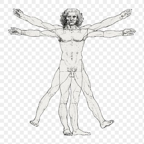 Famous Drawing, Da Vinci Vitruvian Man, Vitruvian Man, Man Illustration, Sims4 Clothes, Hand Art, Vintage Printables, Free Png, Free Image