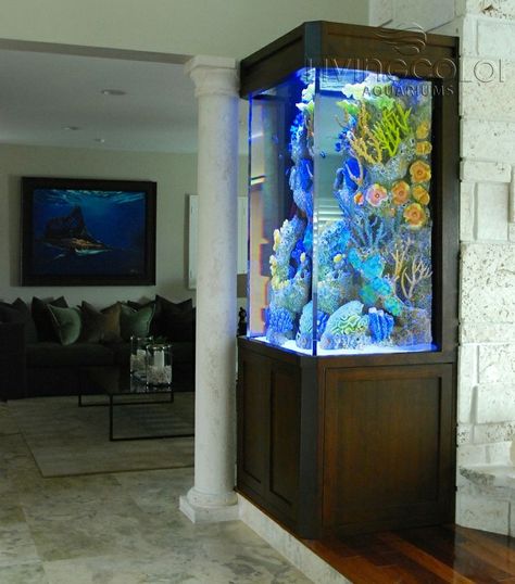 Tall 3-sided Aquarium Dimensions: 36″L x 27″W x 54″H 250 Gallons: Salt Water Aquarium Ideas, Aquarium Home Decor, Salt Water Aquarium, Fish Tank Wall, Aquarium Home, Custom Aquarium, Wall Aquarium, Amazing Aquariums, Saltwater Fish Tanks