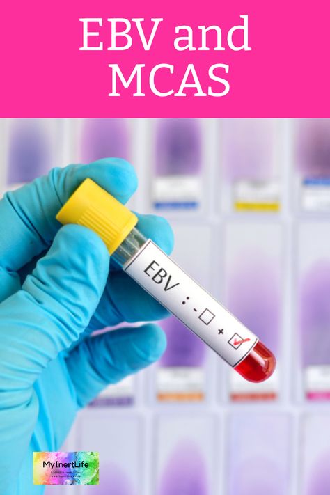 This post explores the connection between EBV and MCAS. (Epstein Barr Virus - EBV, and Mast Cell Activation Syndrome - MCAS). One of my MCAS triggers is EBV and so this post shares some of my experiences with the two illnesses, and what's helped me cope with them. https://myinertlife.space/the-connection-between-ebv-and-mcas/ Ebv Virus, Epstein Barr, Mast Cell Activation, Histamine Intolerance, Mast Cell Activation Syndrome, Loss Of Balance, Mast Cell, Healing Frequencies, Lymph Nodes