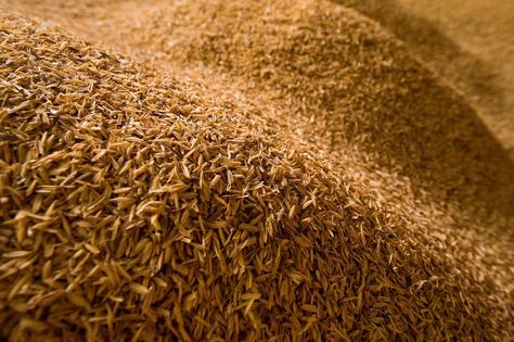 Rice husk is a great source of bioenergy Biomass Energy, Rice Husk, Cattle Feed, Genetically Modified Food, Pet Area, Organic Rice, Fertilizer For Plants, Rice Grain, Rice Bran Oil