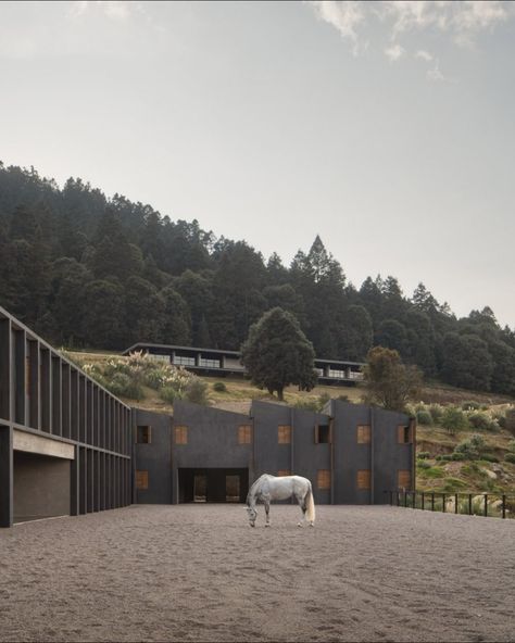 Hípico Piedra Grande equestrian complex is located in rural Mexico. Equestrian Landscape Design, Luxury Stables Exterior, Equestrian Architecture, Mexican Horse Stables, Rural Mexico, Mexican Landscape, Horse Rehabilitation Center, Equestrian Center Architecture, Mountain Terrain