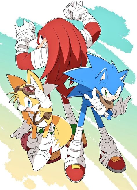 Sonic Boom Knuckles, Sonic And Tails, Sonic The Movie, Sonic Funny, Sonic Fan Characters, Sonic Franchise, Sonic 3, Hedgehog Art, Sonic Adventure