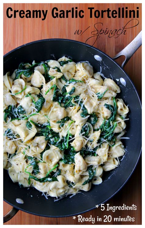 Creamy Garlic Tortellini is ready in 20 minutes and this recipe uses only 5 ingredients in addition to the tortellini pasta! Can be a main dish or a side dish. Feel free to toss some pre-cooked or leftover chicken in the pan if you want some protein. This is a pasta dish that the entire family will enjoy. Tortellini With Spinach, Garlic Tortellini, Cheese Tortellini Recipes, Meatballs Italian, Tortellini Alfredo, Pork Tenderloin Sandwich, Spinach Alfredo, Spinach Tortellini, Tortellini Recipes