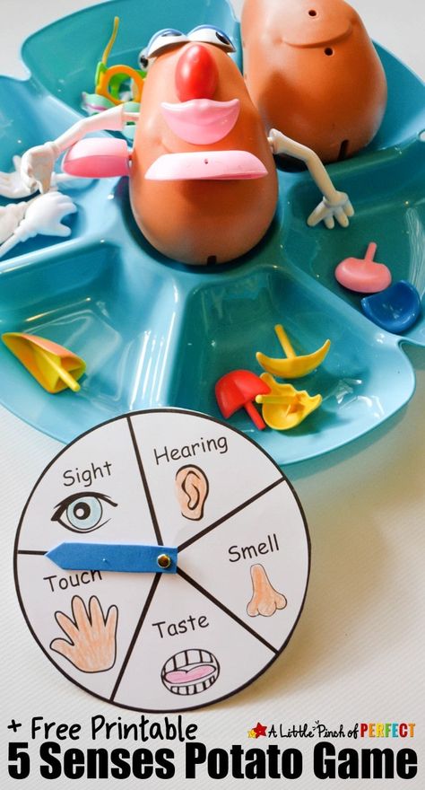 5 Senses Craft, 5 Senses Preschool, Five Senses Preschool, 5 Senses Activities, Senses Preschool, The 5 Senses, My Five Senses, Senses Activities, Mr Potato