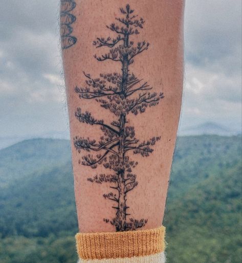 Redwood Tree Tattoos, Delicate Pine Tree Tattoo, Aspen Tattoo Ideas, Colorado Tree Tattoo, Larch Tree Tattoo, Mountain Pine Tree Tattoo, Oregon Inspired Tattoos, Alder Tree Tattoo, White Pine Tattoo