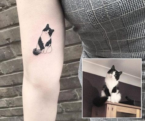 https://www.thepaws.net/cat-outline-tattoos/4/ Trendy Cat Tattoo, Tattoos To Get For Your Cat, Cute Cats Tattoo, Sentimental Cat Tattoos, Real Cat Tattoo, Simple Cat Portrait Tattoo, Tattoo For Cat Lovers, Cat Toy Tattoo, Personal Cat Tattoo