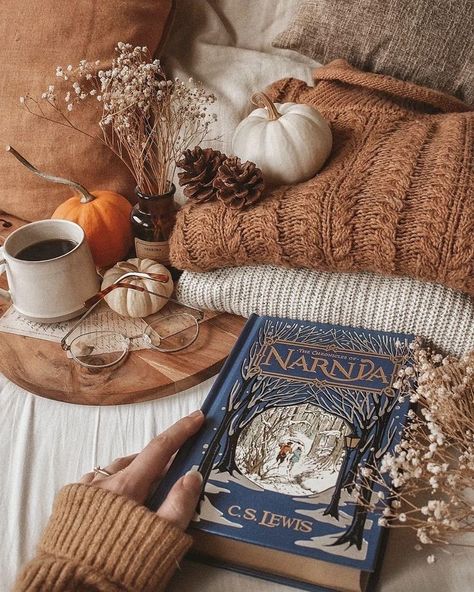 Fall Hygge, Hygge Aesthetic, Book Flatlay, Fall Mood Board, Bookstagram Inspiration, Autumn Magic, Fall Inspo, Fall Feels, Fall Aesthetic