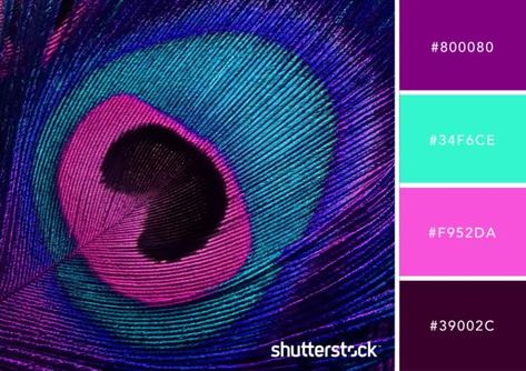 Purple Peacock Plum Color Palette with velvet violet #800080, Shutterstock's color of the year. Plum Color Palette, Peacock Color Scheme, 2022 Color Trends, Room Paint Designs, Paint Charts, Purple Peacock, Floral Wreath Watercolor, Color Crush, Home Offices