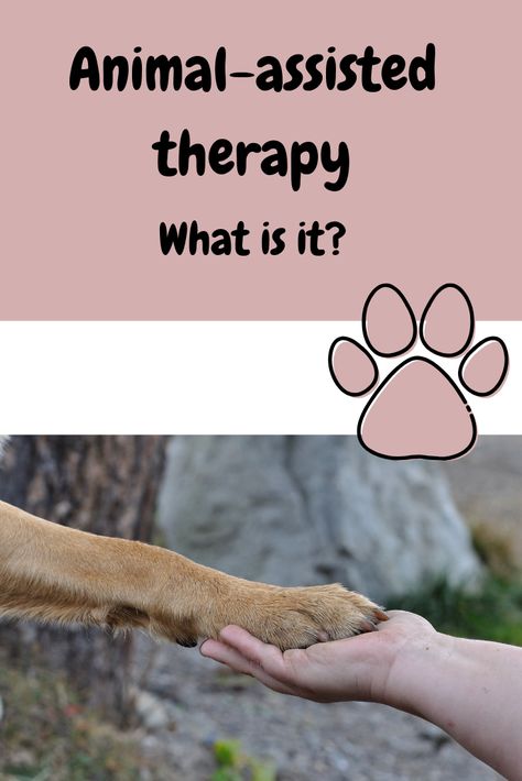 School Therapy Dog Ideas, Dog Presentation, Animal Assisted Therapy, Therapy Dog Training, Getting A Dog, Marley And Me, Equine Therapy, Therapy Dog, Dog Business