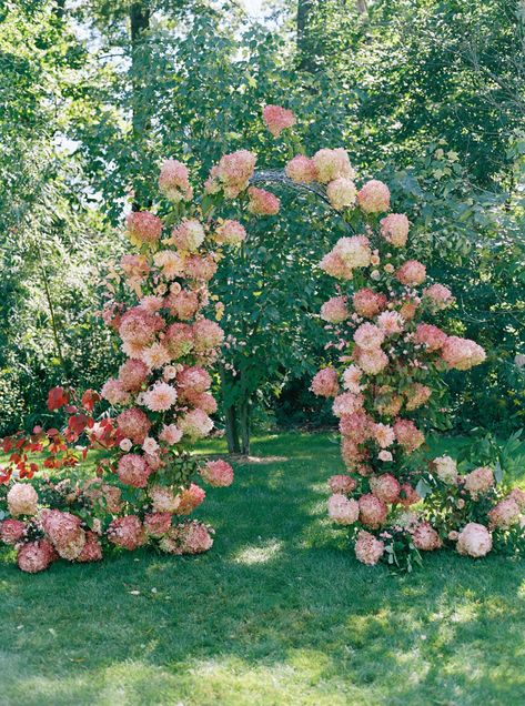 Front Yard Wedding, Brittany Williams, My Big Fat Greek Wedding, Hydrangea Bouquet Wedding, Floral Archway, Floral Arch Wedding, Wedding Arches, Yard Wedding, Wedding Ceremony Arch