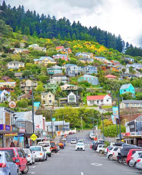 Lyttelton, New Zealand Lyttelton New Zealand, New Zealand Town, New Zealand Lifestyle, Living In New Zealand, Bright Art, Weight Workout, New Zealand Travel, Stairway To Heaven, Fantasy Artist