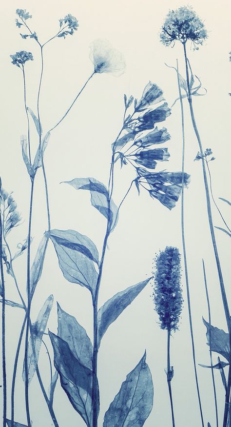 ❄️ Cyanotype Wallpaper, Indigo Wallpaper, White Nature, Iphone Wallpaper Themes, Cute Patterns Wallpaper, Homescreen Wallpaper, Flowers Nature, Screen Wallpaper, Scenery Wallpaper