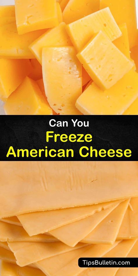 Grab your favorite American sliced cheese and learn the best methods for thawing and freezing cheese. Whether making your own or using slices from a deli, this article tells you the right way to wrap shredded cheese in plastic wrap for frozen cheese and how to defrost it. #freeze #american #cheese Recipes With American Cheese, American Cheese Recipes, American Cheese Sauce, Freezing Cheese, Government Cheese, Sliced Cheese, Dairy Recipes, Spreadable Cheese, Colby Cheese