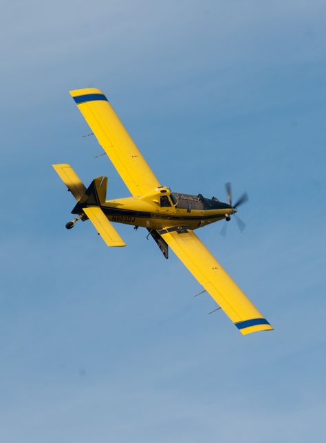 crop duster Crop Duster Airplane Tattoo, Vender Booth, Crop Duster, Airplane Tattoos, Airplane Flight, Disney Planes, The Everglades, Photo Montage, Air Craft