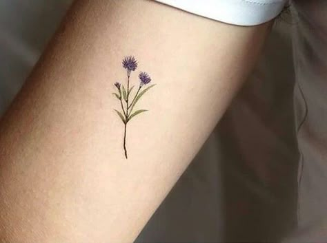 Scottish Designs Tattoo, Adding Flowers To A Tattoo, Small Thistle Tattoo Simple, Minimalist Thistle Tattoo, Dainty Thistle Tattoo, Thistle Tattoo Simple, Scotland Thistle Tattoo, Thistle Tattoo Fine Line, Tiny Thistle Tattoo