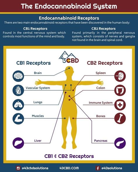 Cbd Oil Benefits, Endocannabinoid System, Chemical Structure, Behavior Disorder, Cbd Hemp, Central Nervous System, Body Systems, Full Spectrum, Hemp Oil