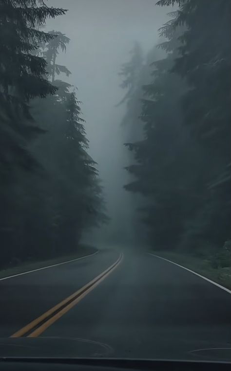 Gothic Nature Aesthetic, Overcast Weather Aesthetic, Misty Rain Aesthetic, Misty Weather Aesthetic, Cloudy Rainy Sky Aesthetic, Foggy City Aesthetic, Dark Moody Aesthetic, Misty Weather, Foggy Road