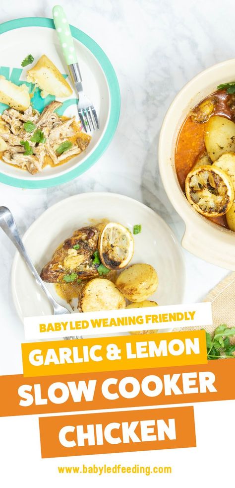 Baby Led Weaning Slow Cooker Chicken with Lemon & Garlic. Easy and healthy baby food for BLW crockpot recipe. Make ahead and feed the entire family! Dairy free and egg free. #babyledweaning #dairyfree #eggfree #slowcookerrecipe Lemon And Garlic Chicken, Chicken Cooker, Chicken With Lemon, Slow Cooker Pumpkin, Baby Led Weaning Recipes, Lemon Garlic Chicken, Healthy Baby Food, Weaning Recipes, Healthy Baby