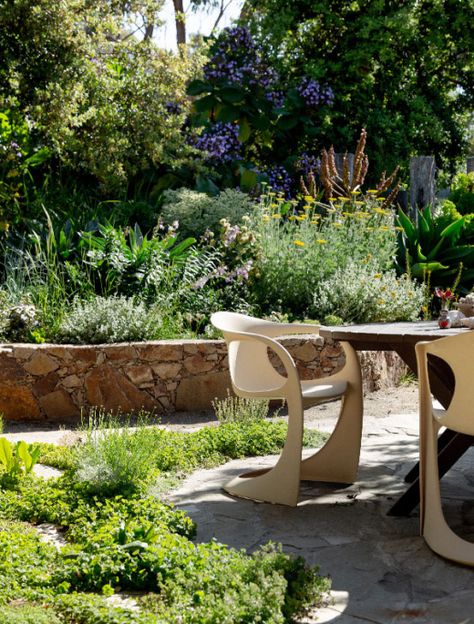 Merricks Beach garden, featuring natives, succulents and grasses - and no irrigation! Coastal Planting, Repurposed Planter, Gravel Pathway, Riverside Garden, Beach Garden, Coastal Gardens, Mornington Peninsula, Garden Maintenance, Sustainable Garden