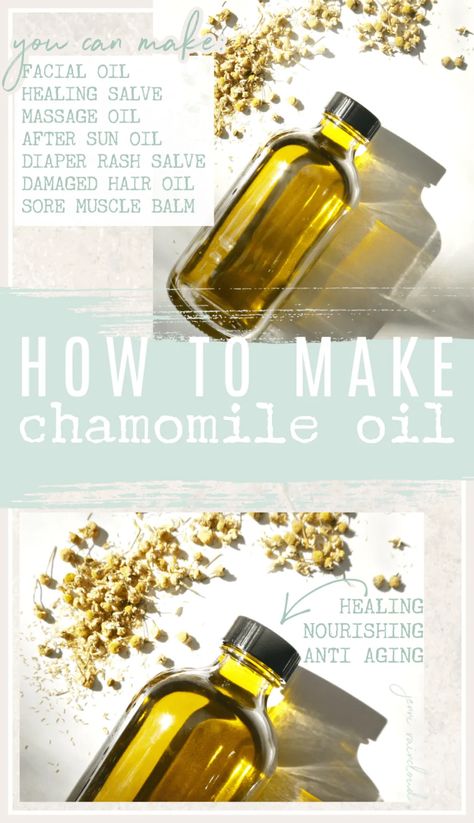 Diy Oil Recipes, Diy Herbal Face Oil, Diy Herbal Body Oil, Chamomile Shampoo Diy, Things To Do With Chamomile, Diy Witchy Oils, Diy Herb Infused Body Oils, Diy Essential Oil Recipes How To Make, How To Make Chamomile Oil