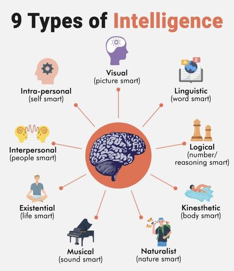 Biological Science, Multiple Intelligences, Types Of Intelligence, Amazing Facts For Students, Positive Quotes For Life Motivation, Personal Improvement, Skills To Learn, Mental And Emotional Health, Psychology Facts