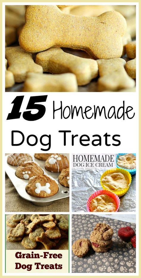 Save Money | 15 Easy Homemade Dog Treats Easy Homemade Dog Treats, Homemade Pet Treats, Pet Treats Recipes, Dog Treats Homemade Easy, Easy Dog Treat Recipes, Dog Treats Grain Free, Dog Biscuit Recipes, Easy Dog Treats, Healthy Dog Treats Homemade