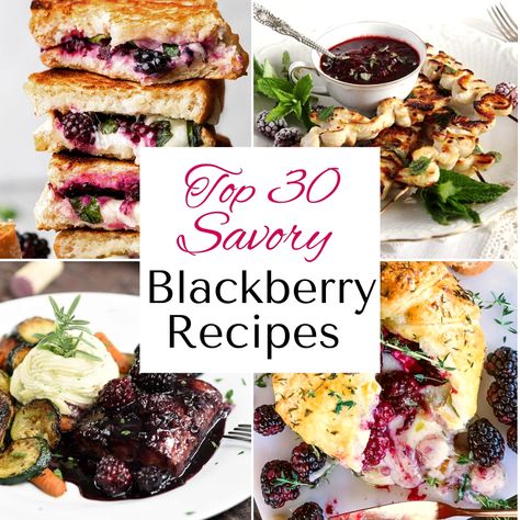 30 Best Savory Blackberry Recipes To Try This Summer Cucumber Snack Ideas, Blackberry Baked Brie, What To Serve With Salmon, West Coast Kitchen, Cucumber Snack, Cucumber Roll Ups, Cheese And Onion Pie, Broccoli Cauliflower Casserole, Cucumber Snacks