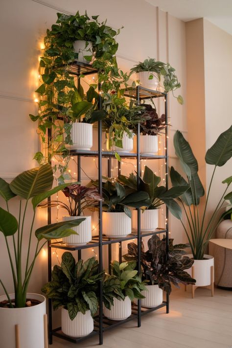 Design a warm and inviting indoor plant nook with a multi-tiered black metal shelf. Adorned with cascading vines, leafy greens, and glowing fairy lights, this setup adds charm to any minimalist space. Perfect for creating a serene retreat in your home. #IndoorPlantDecor #CozySpaces #FairyLightVibes #JungleInspired #ModernPlantDisplay #HomeGreenery #PlantShelfGoals #MinimalistAesthetic #SereneLiving #UrbanJungle Plant Lights Indoor Setup, Indoor Plant Setup, Plant Wall Shelf Ideas, Plant Nook, Plants Shelf, Glowing Fairy, Plant Setup, Black Metal Shelf, Minimalist Space