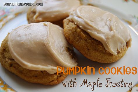 Pumpkin Cookies with Maple Frosting...I had an old recipe similar to this one that I cannot find. If this recipe is anything like my old recipe, then they are to die for! I will have to make these this holiday season to compare. Pumpkin Cookies Easy, Brown Sugar Frosting, Maple Frosting, Pumpkin Cookie Recipe, Brown Sugar Cookies, Delicious Pumpkin, Pumpkin Cookies, Frosting Recipes, Holiday Baking