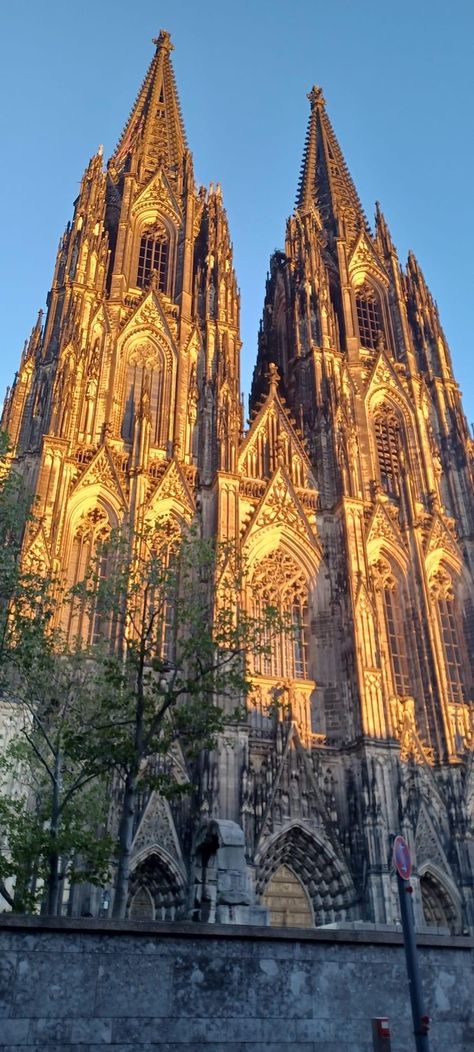 Cathedrals In Europe, Cologne Germany Cathedral, Cologne Cathedral Interior, Cologne Cathedral Wallpaper, Cologne Cathedral Aesthetic, German Cathedrals, Koln Cathedral, Germany Cathedral, Famous Cathedrals