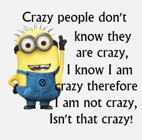 (9) Minion Rules - Timeline Photos Minion Meme, Minion Jokes, Minions Love, A Minion, Funny Minion Quotes, Minion Quotes, Minions Quotes, Minions Funny, Crazy People