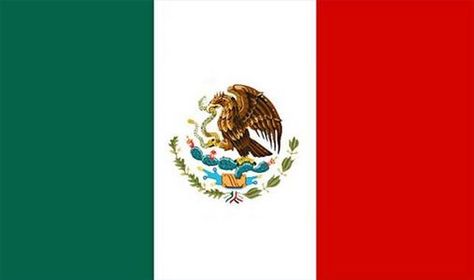 Flag Of Mexico, Touch Math, Mexico Country, Authentic Mexican Recipes, Mexican Heritage, Mexican Flags, Mexico Flag, We Are The World, Buy Bitcoin