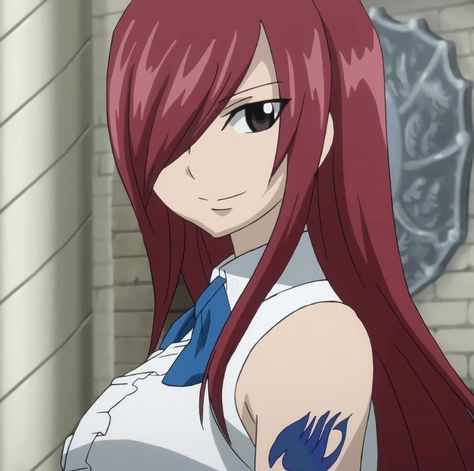 Fairy Tail Anime Erza, Erza Scarlett, Fairy Tail Erza Scarlet, Fariy Tail, Fairy Tail Girls, Fairy Tail Characters, Fairy Tail Art, Erza Scarlet, Doodle On Photo