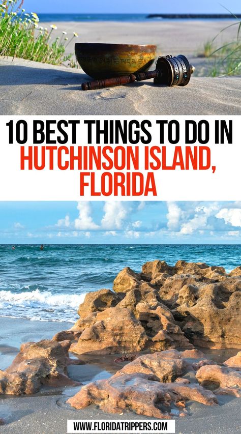 10 Best Things To Do In Hutchinson Island, Florida Hutchinson Island Florida, Florida Attractions, Florida Parks, Florida Travel Guide, Florida Adventures, Vacation Florida, Florida Destinations, Places In Florida, Florida Springs