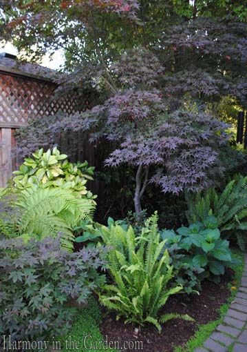 Wonderland House, Moderne Have, Garden Improvement, Shade Garden Design, Garden Therapy, Shade Gardens, Shady Lady, Garden Shrubs, Have Inspiration